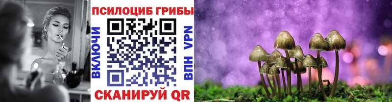 продажа наркотиков  Звенигород  Псилоцибиновые грибы Cubensis 